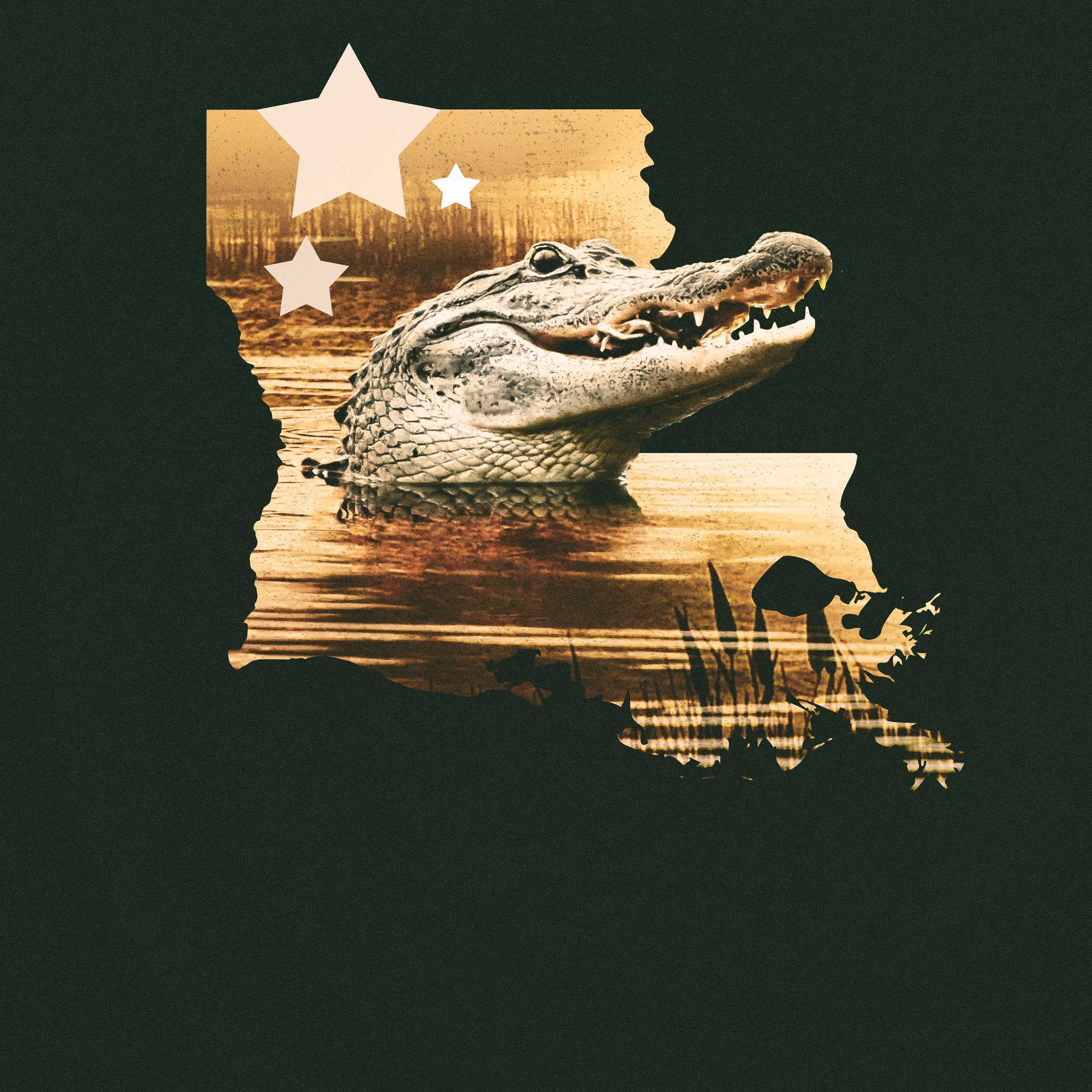 Louisiana Law - Animal Planet GO