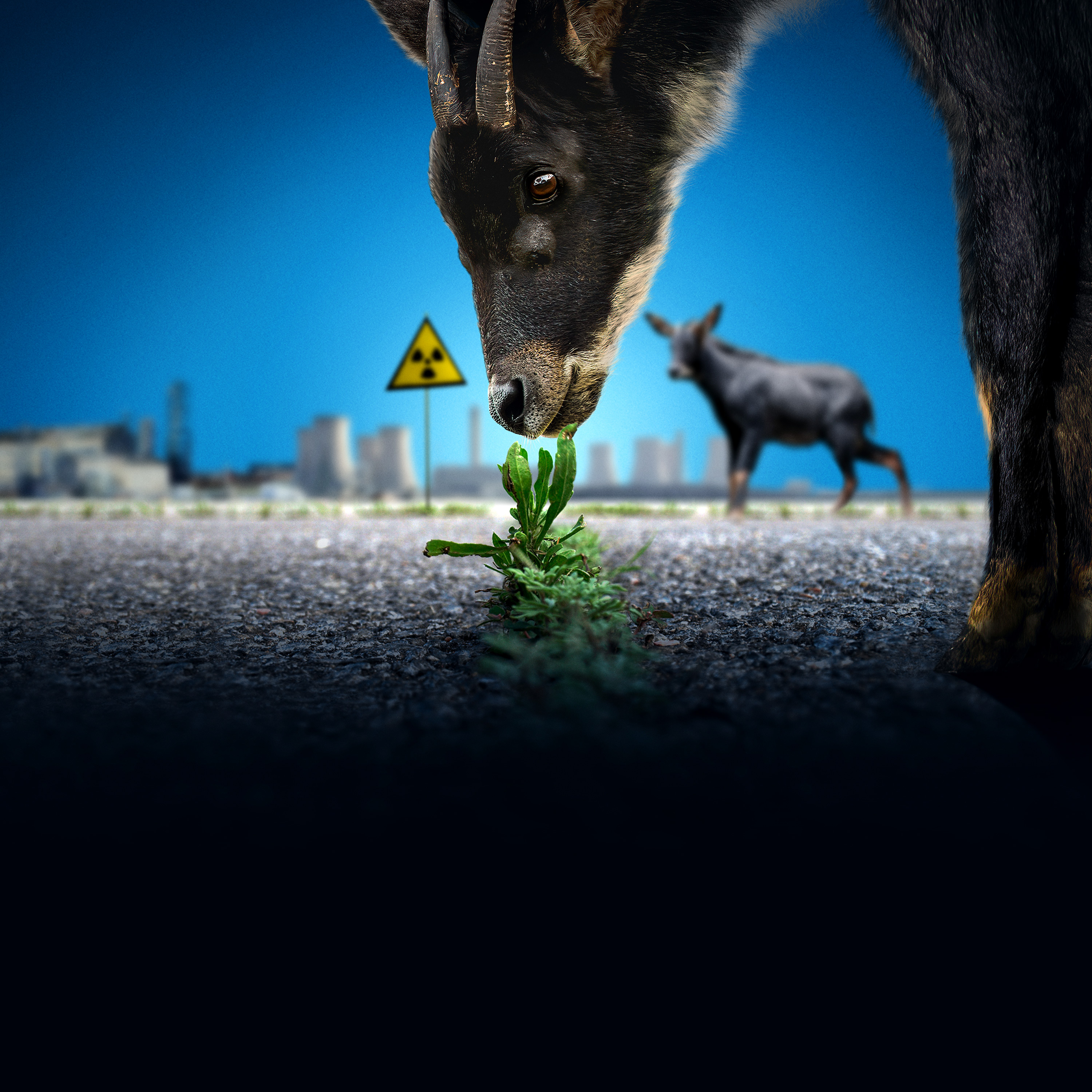 Stream Abandoned: Uncovering Fukushima | discovery+