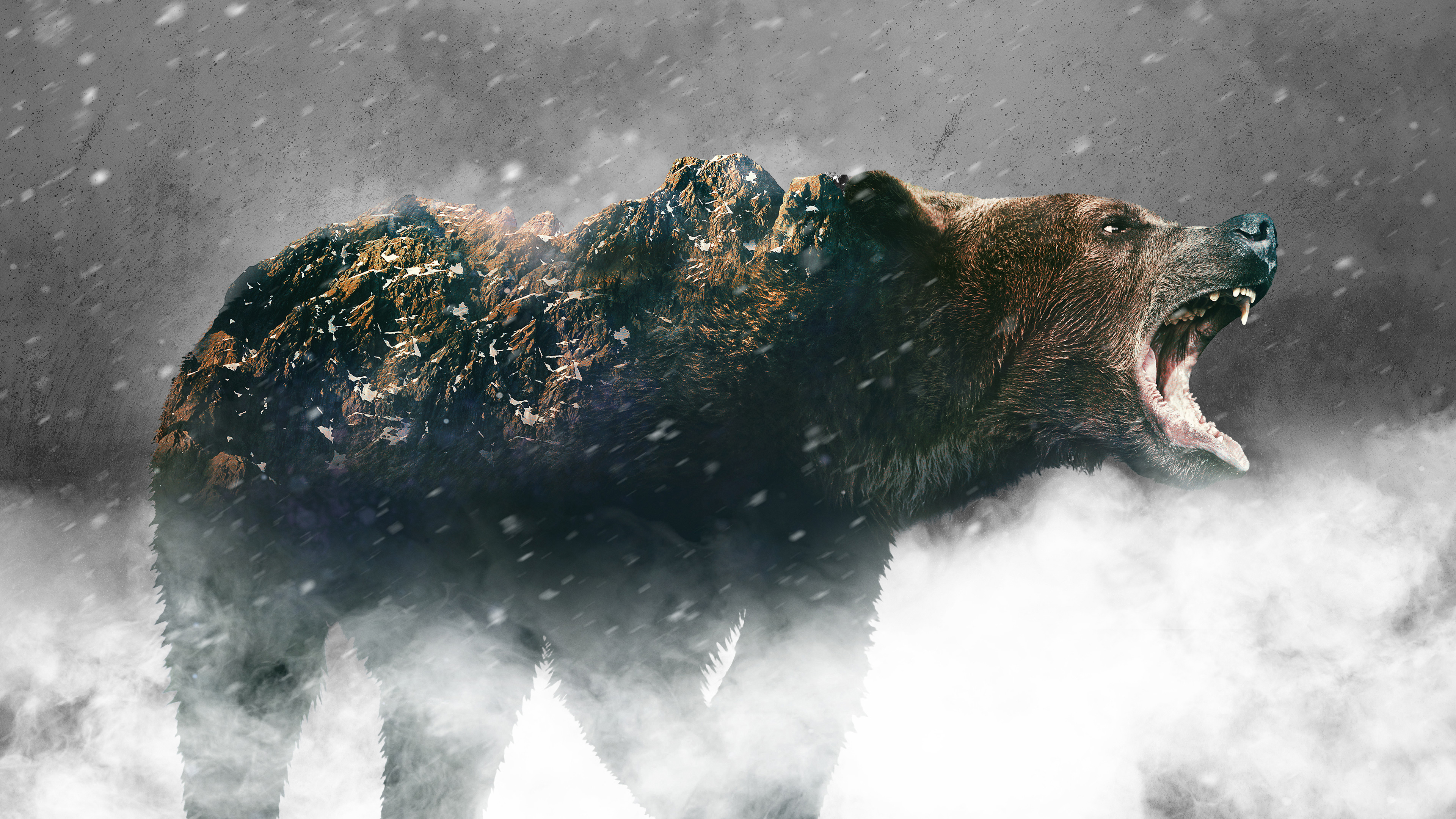 Stream Alone discovery+