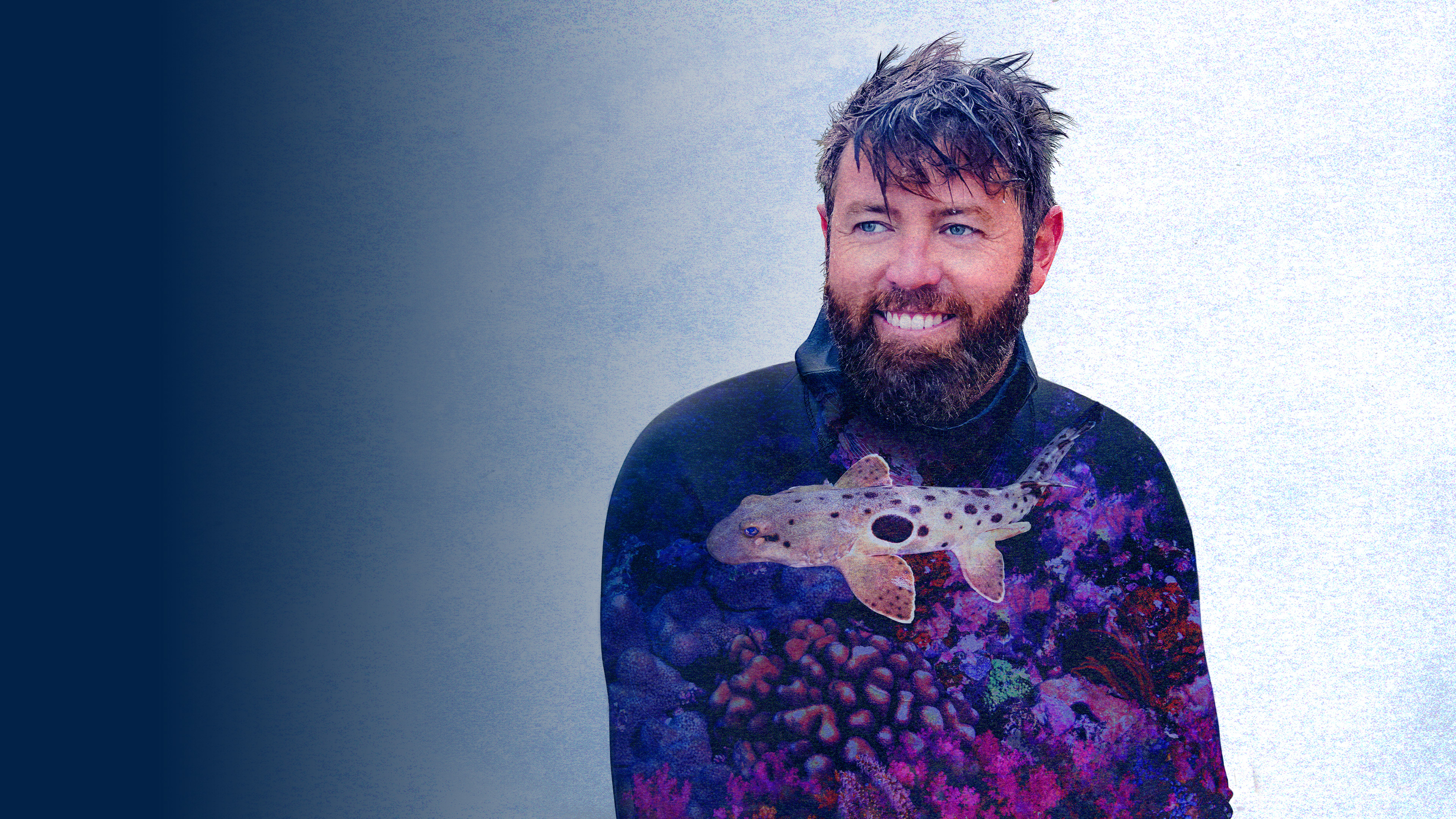 Stream Island of the Walking Sharks discovery+