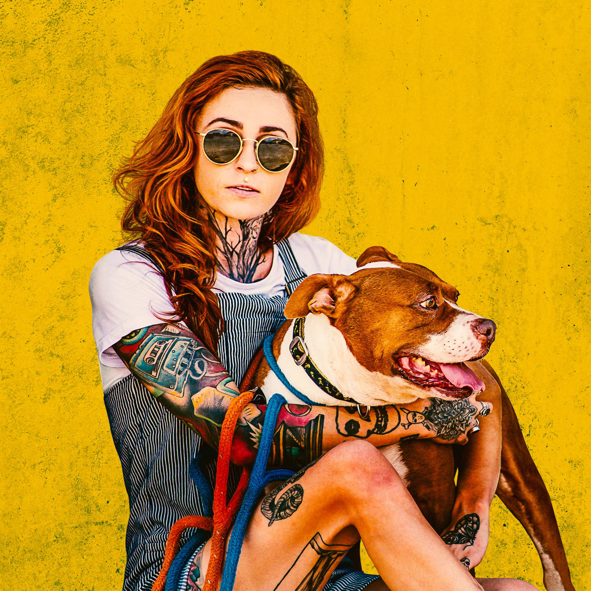What Happened To Armando From Pitbulls And Parolees - kjx1oov