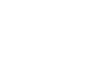 Dave salmoni online puppy bowl