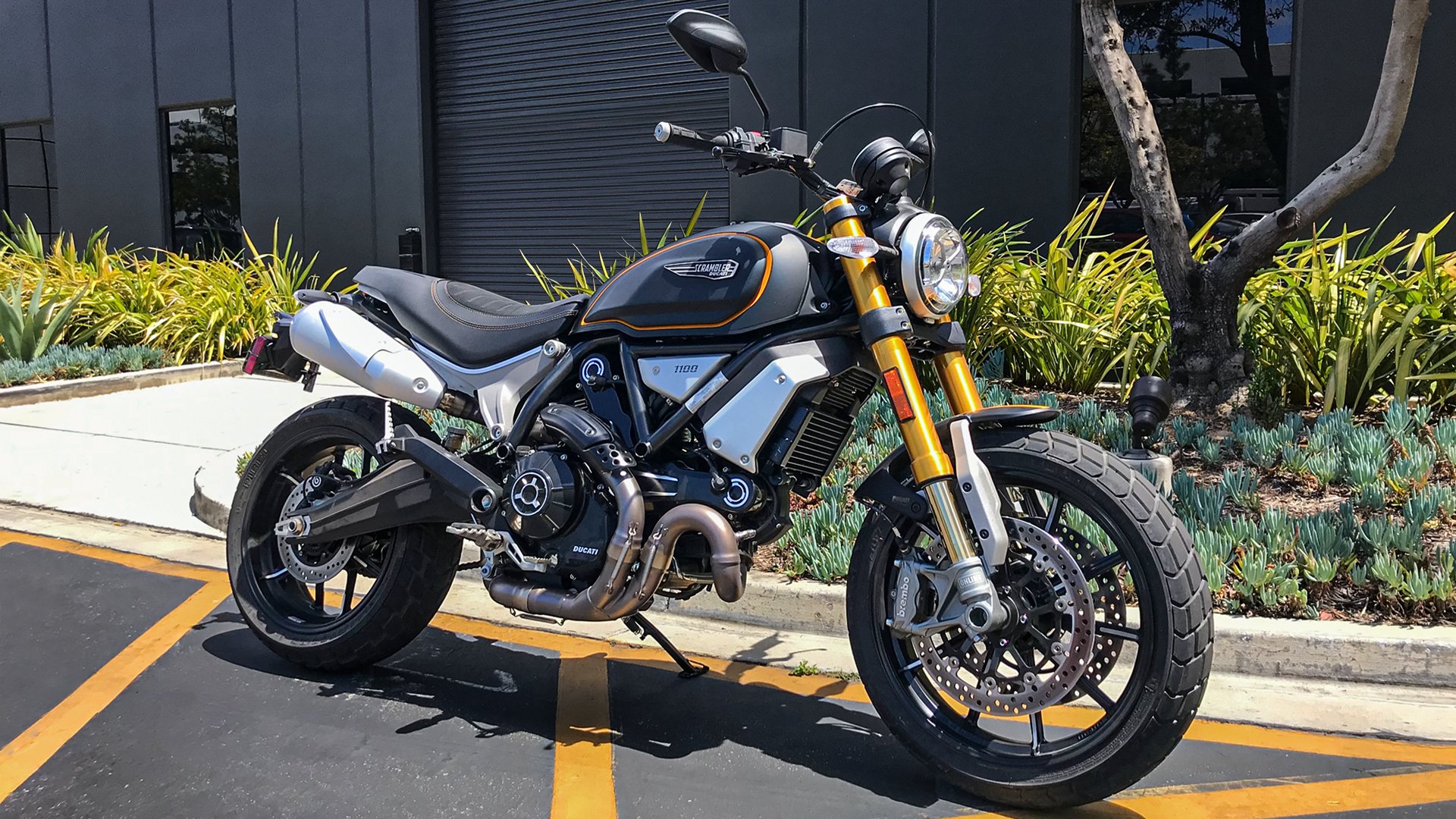 Ducati 1100 scrambler top 2019