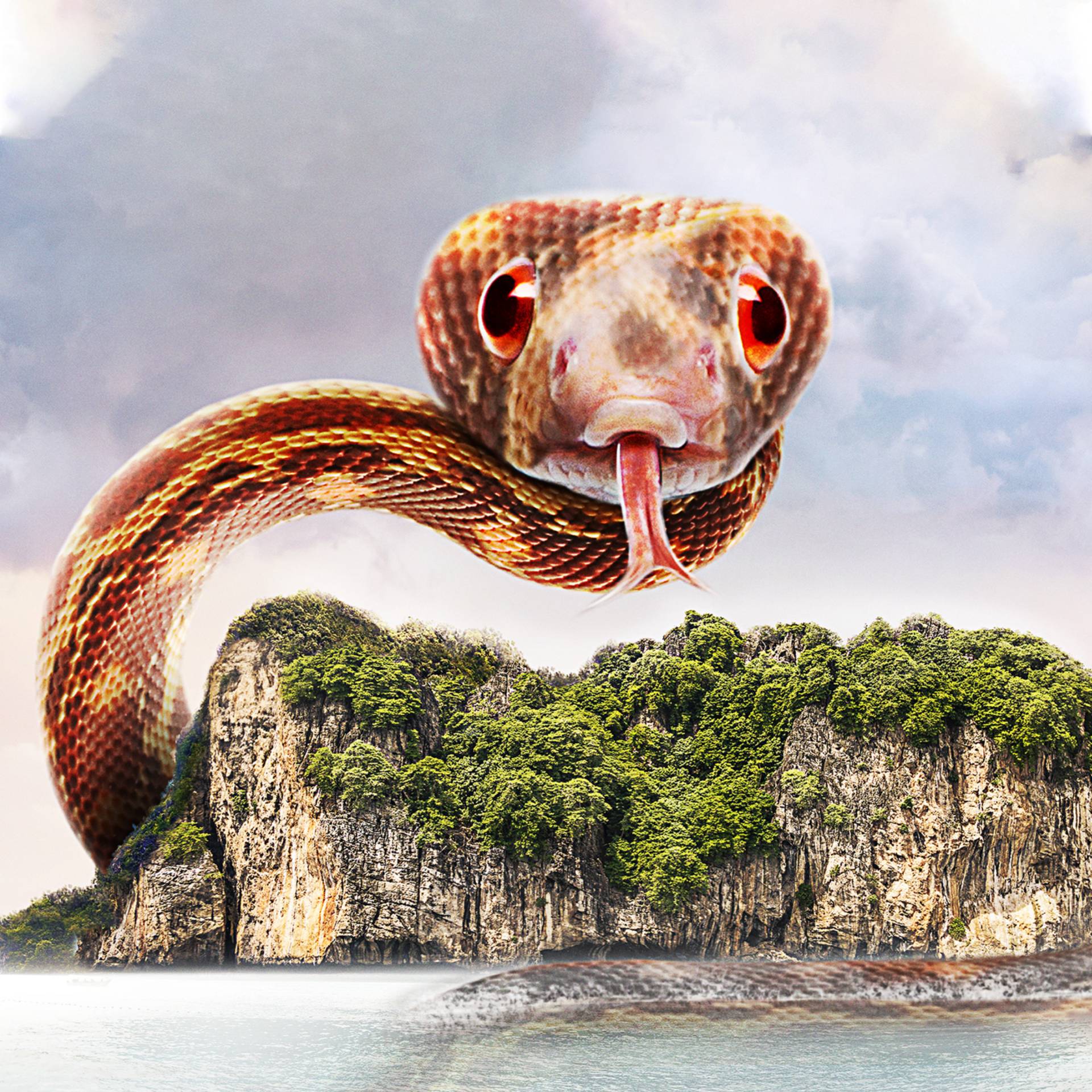 Ilha das Cobras - Wikipedia