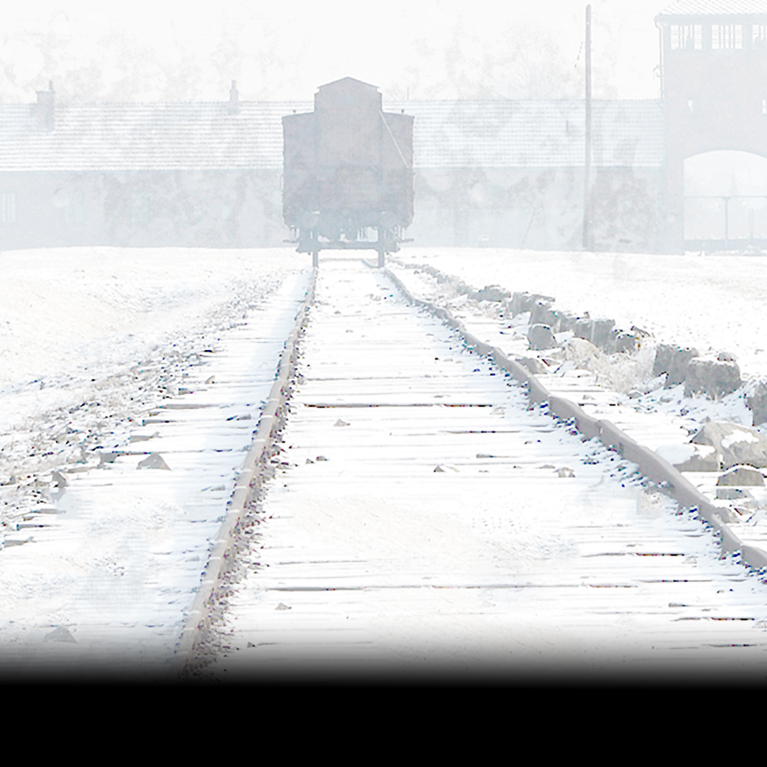 Stream CNN Special Report: Voices Of Auschwitz | Discovery+