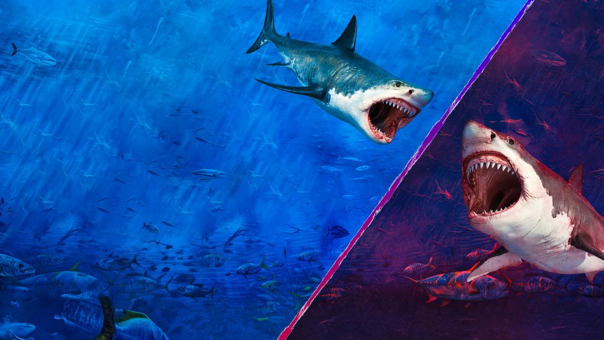 Megalodon Vs Great White Jaw