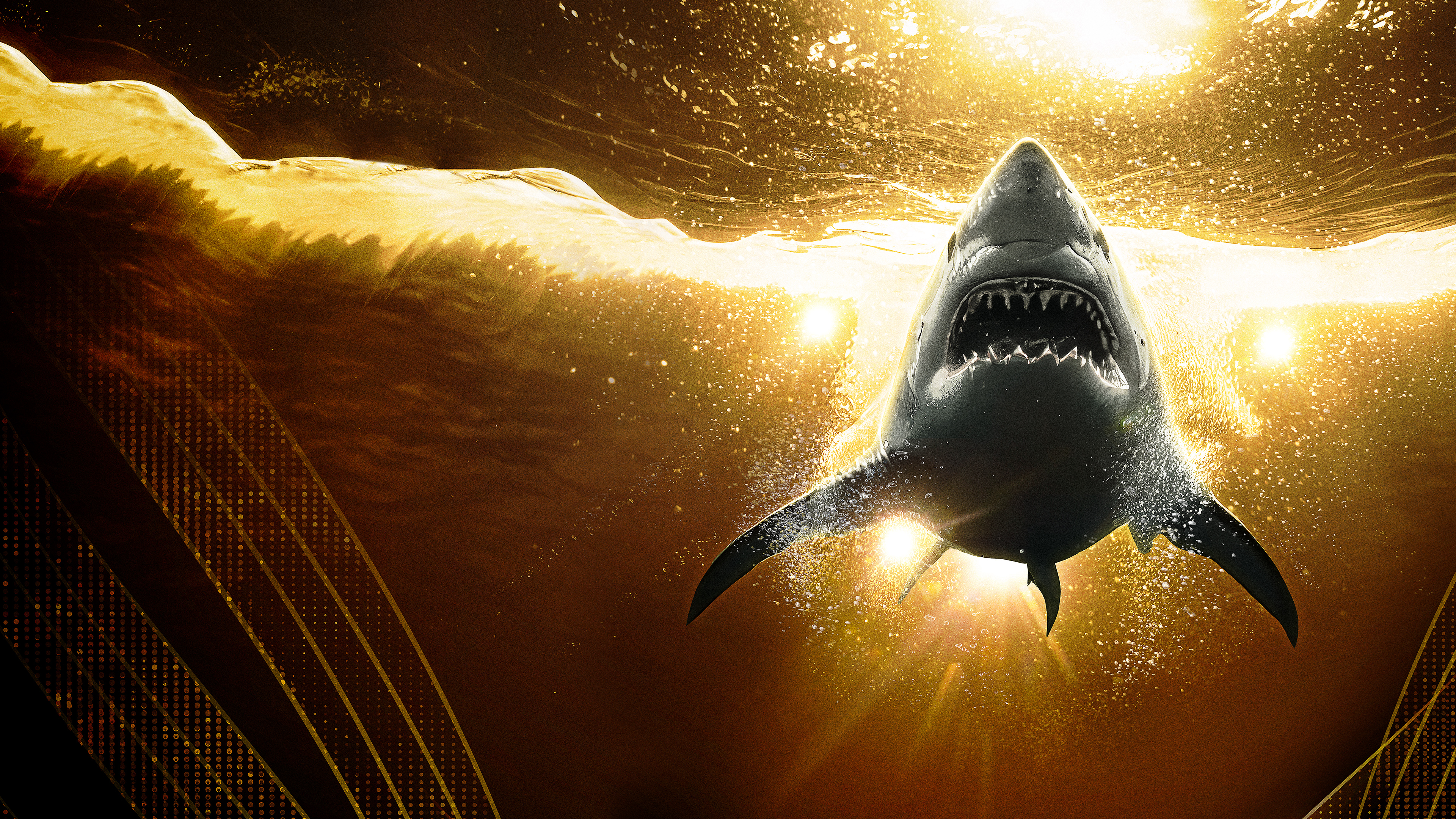 Stream Shark Week Off the Hook discovery+