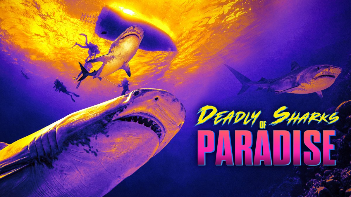 Deadly Sharks of Paradise - Discovery GO Deadly Sharks of Paradise - Discovery GO