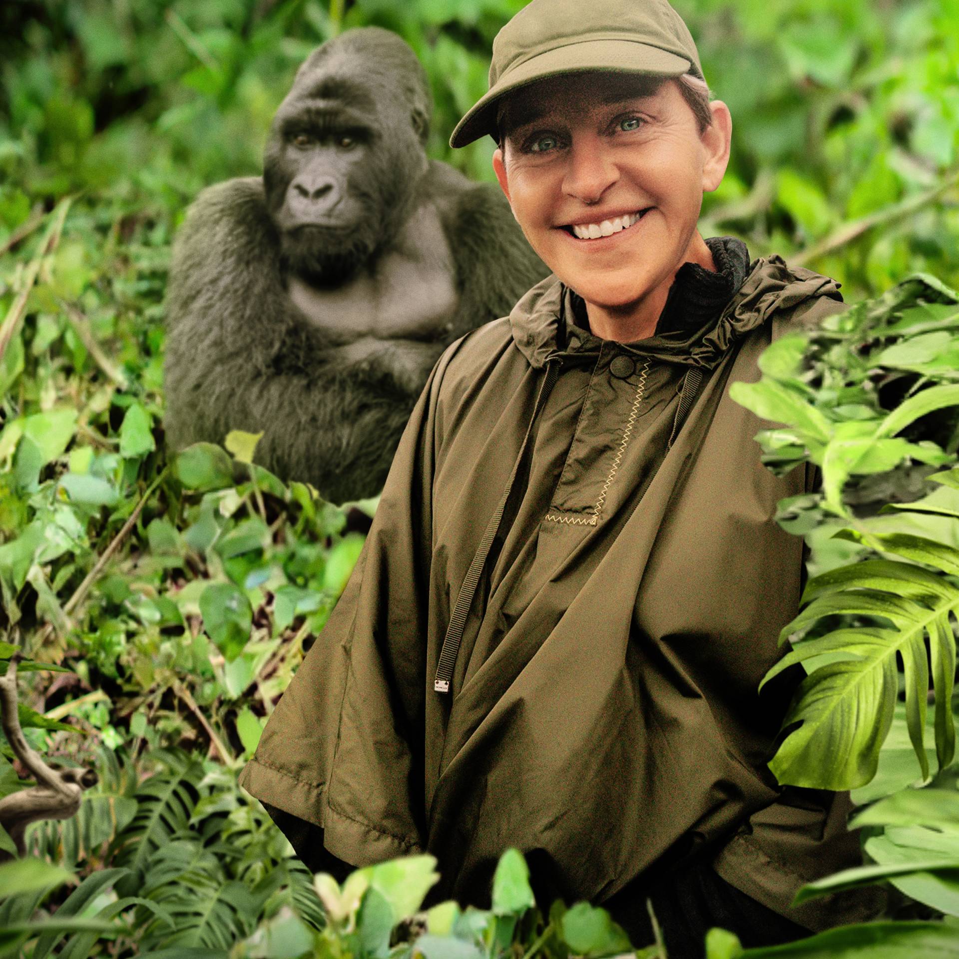 Stream Saving the Gorillas Ellen s Next Adventure discovery