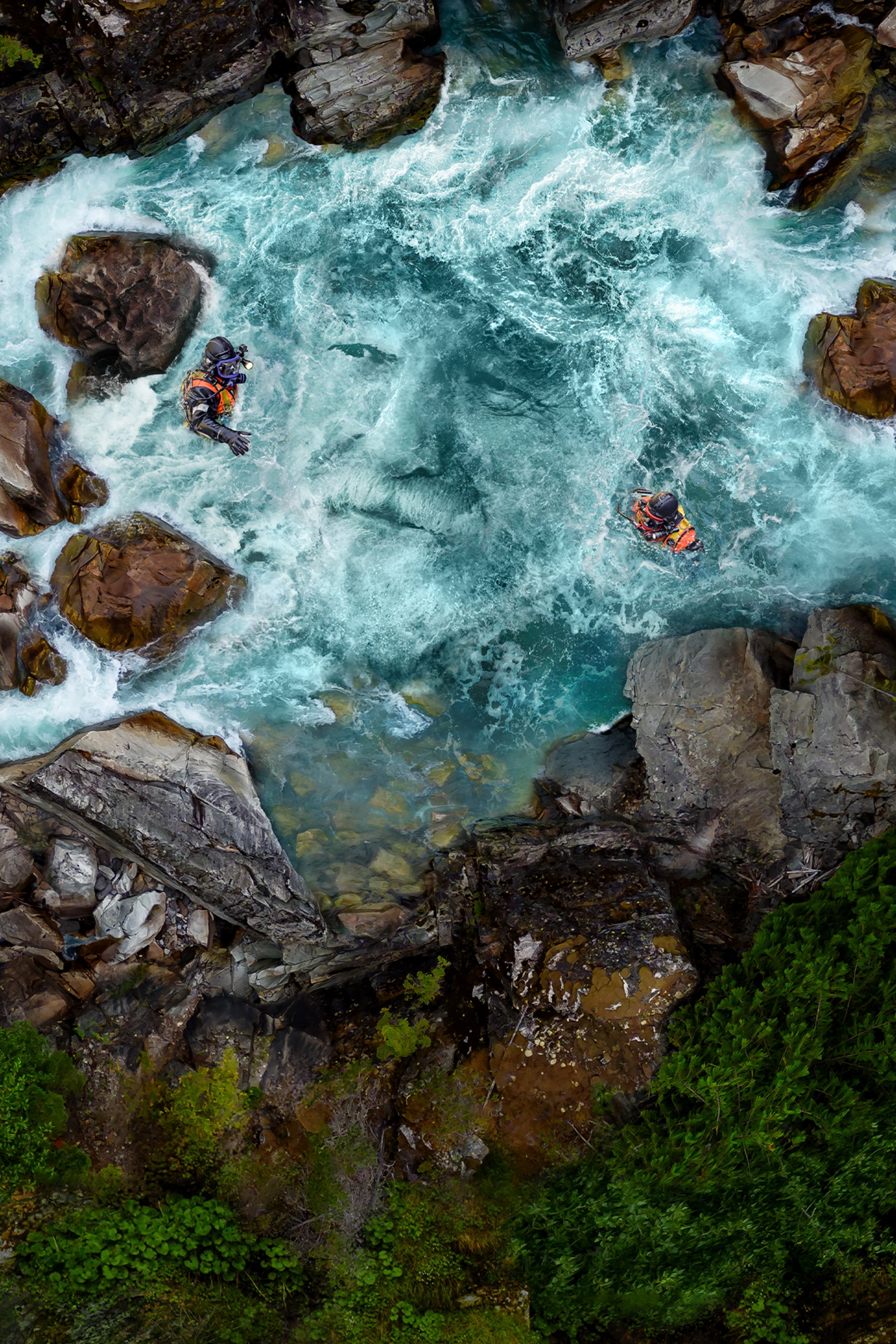 Watch go top on online