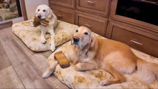 The RVers | Discovery