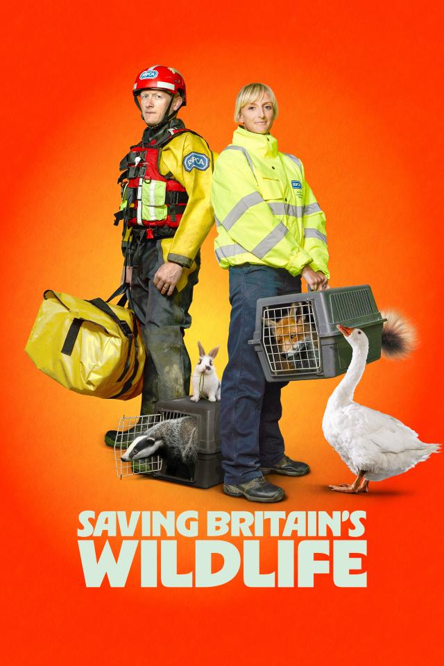 Saving Britain's Wildlife on FREECABLE TV