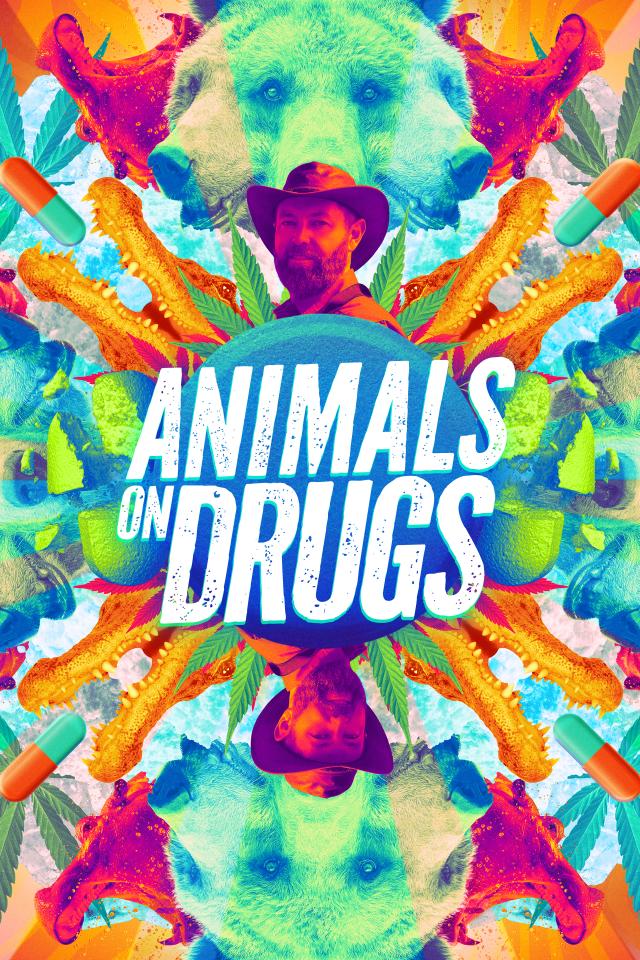 Animals on Drugs on FREECABLE TV