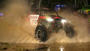 The Young and the Reckless