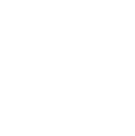 Hustlers Gamblers Crooks